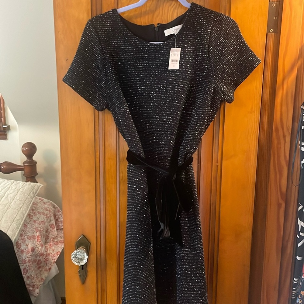 Ann Taylor Dress